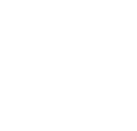 Ikona znázorňující logo lva